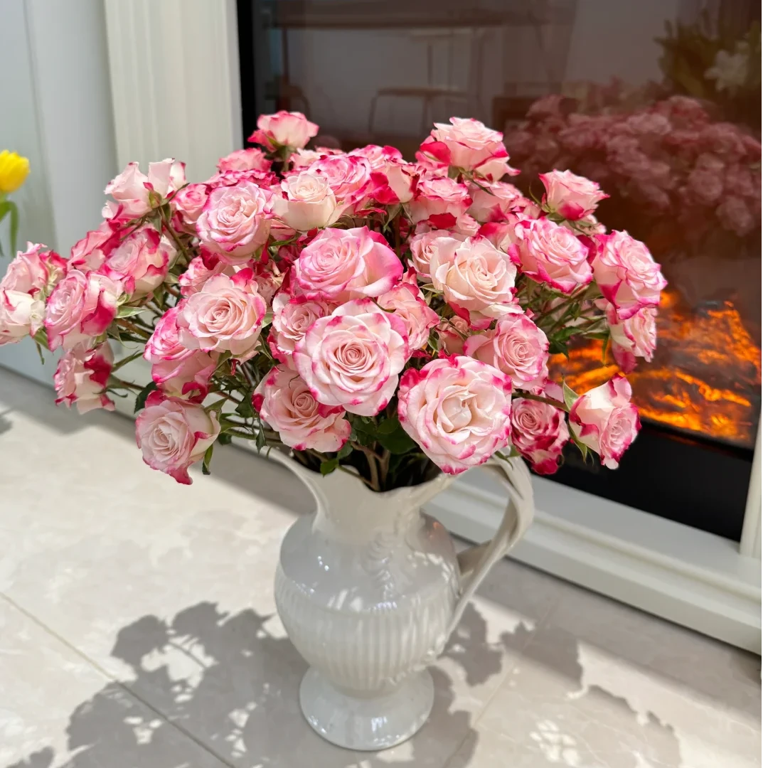 【折射泡泡AK】多头玫瑰10枝 基地直发 | 全场鲜花任意两单包邮
