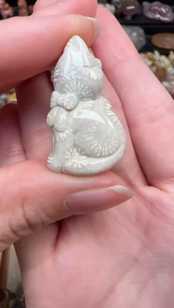 颈饰未镶嵌硅化珊瑚（珊瑚玉）694