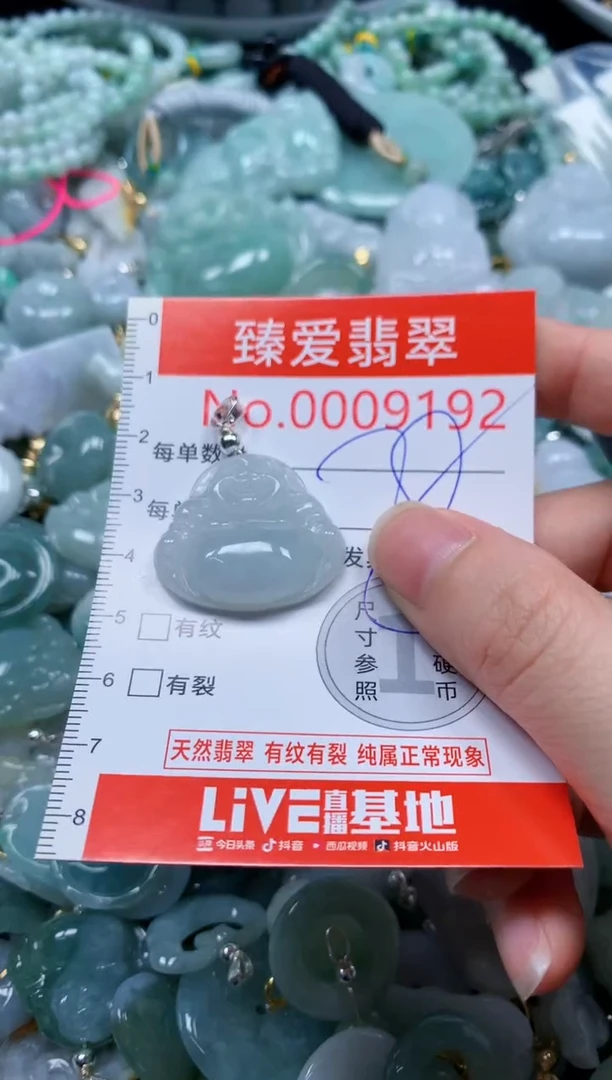 翡翠未镶嵌吊坠(不含链)9192