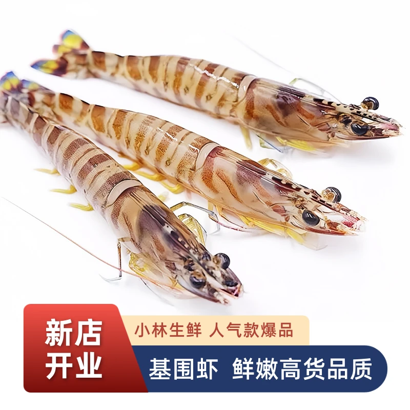 【小林生鲜新店开业】斑节虾(基围虾)肉质鲜嫩紧实高品质海鲜1kg