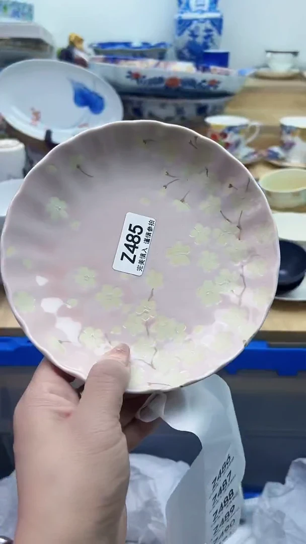 【闪购商品】瓷片485