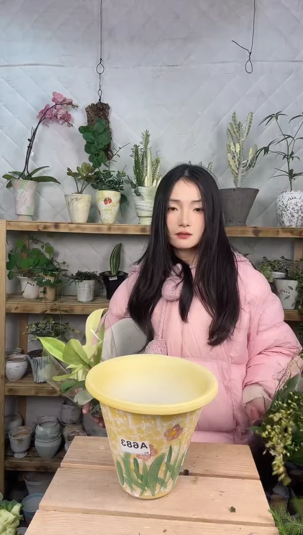 无花朵编号 683  景德镇手绘花盆口17高15.5