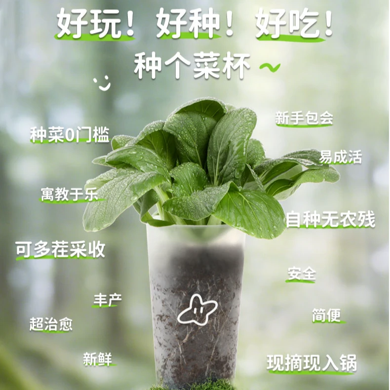 拾鲜都市  上海青蔬菜潮玩健康种植杯 开盖浇水简易种植