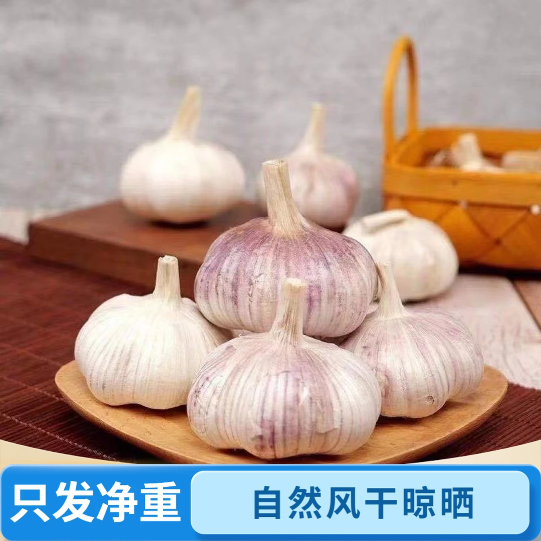 【新干蒜】河南杞县紫白皮大蒜自然晒干蒜香浓郁紫皮大蒜3斤5斤装