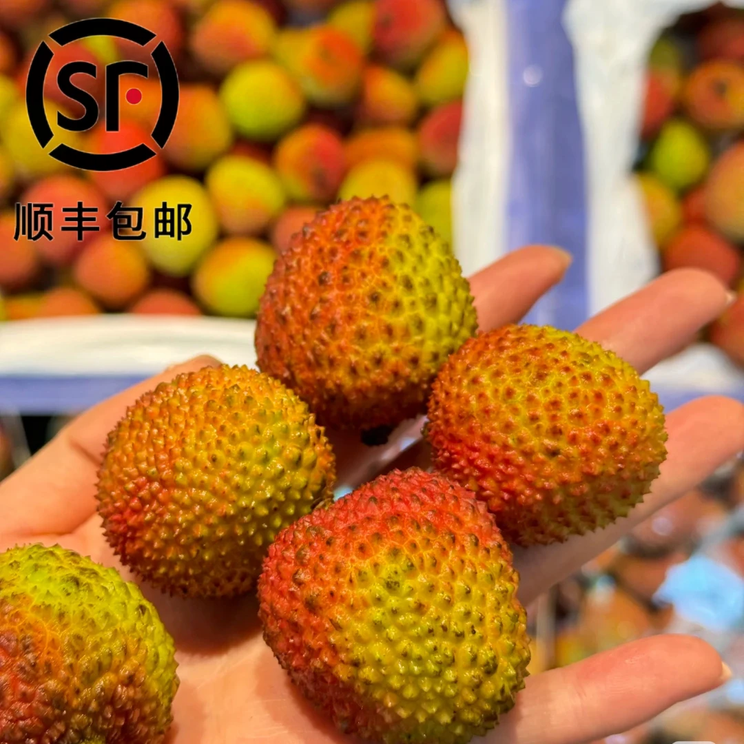 【顺丰冷链】广东妃子笑荔枝新鲜水果当季现摘4.5斤 GYC
