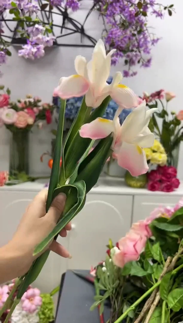 2枝粉色鸢尾花花