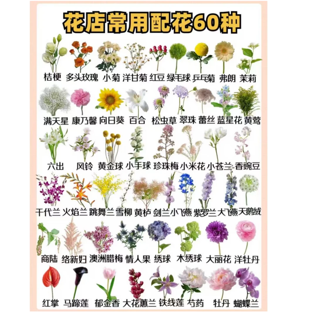 鲜花玫瑰百合配花多头水养插花搭配昆明直发花束不可缺少的东西
