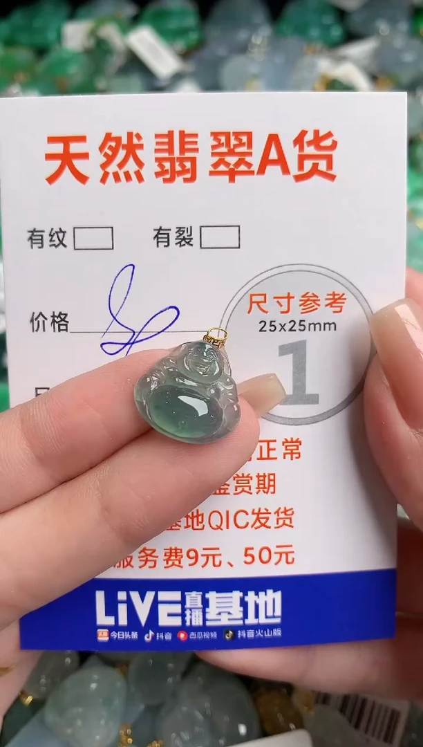 翡翠18K金镶嵌颈饰24000531