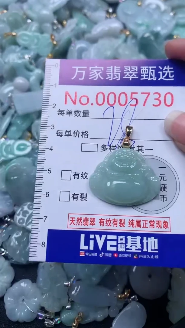颈饰未镶嵌翡翠5730