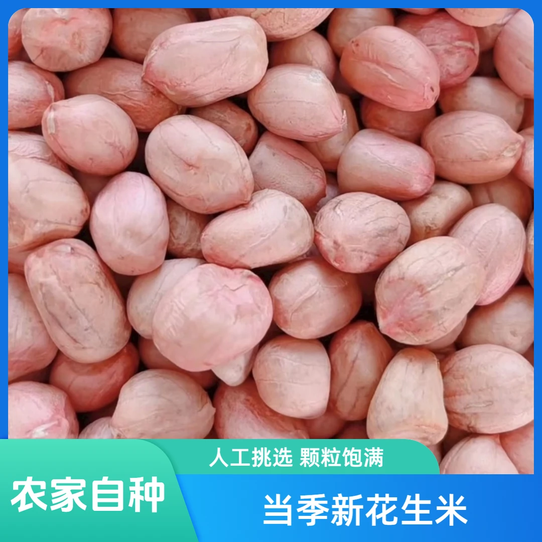 2025年精选大白沙花生米当季脱壳颗粒饱满可榨油