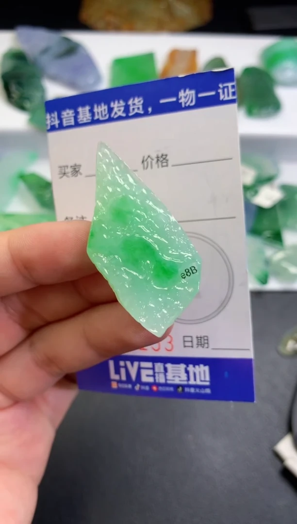 颈饰未镶嵌翡翠G***y473