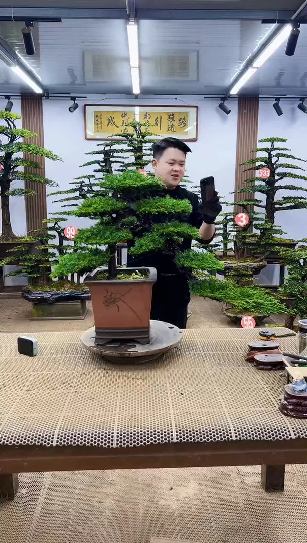 【闪购商品】0000000