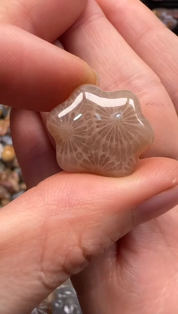 【闪购商品】硅化珊瑚（珊瑚玉）颈饰未镶嵌078