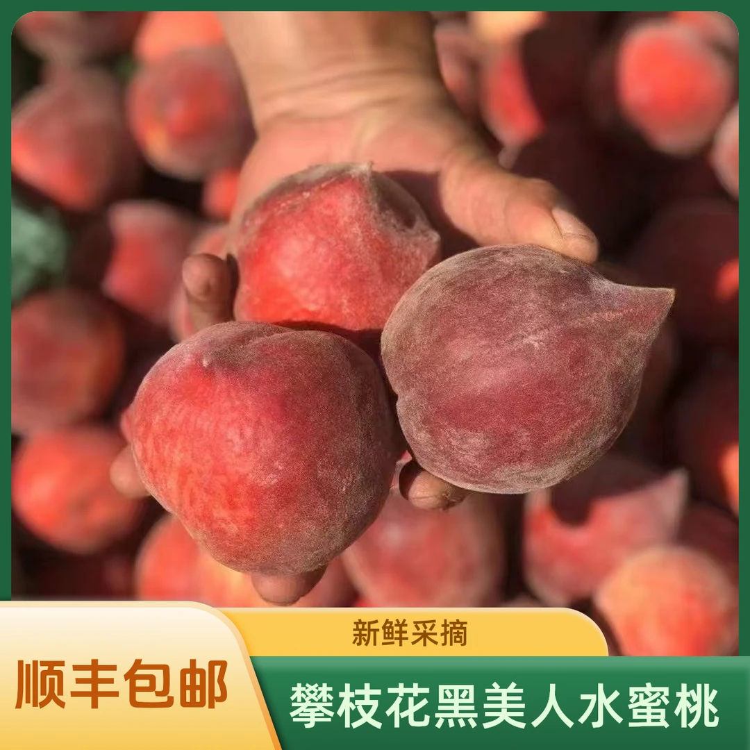 【顺丰速运】四川攀枝花黑美人水蜜桃当季孕妇宝妈水果新鲜应季采摘