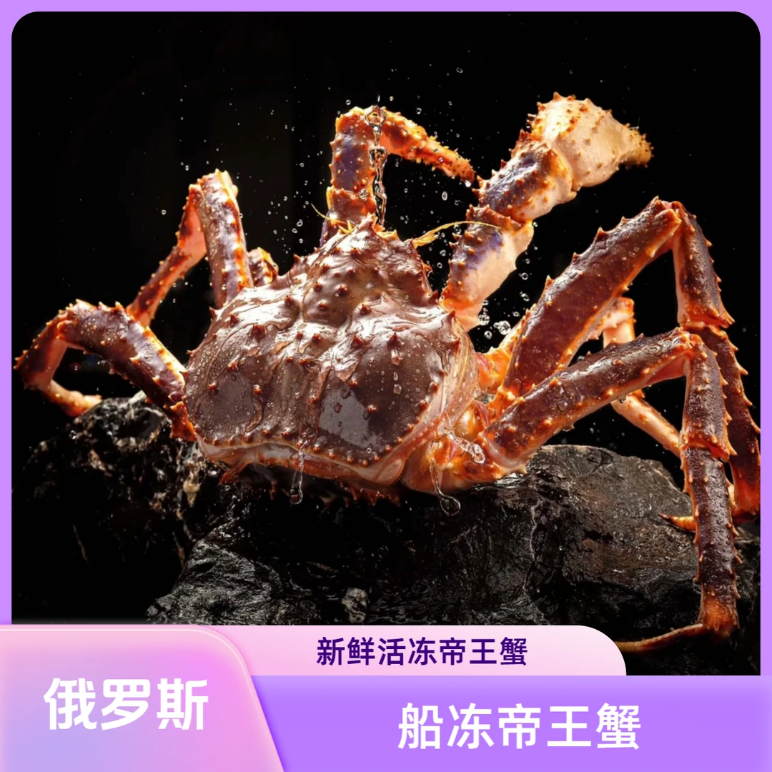 A2 生冻帝王蟹俄罗斯帝王蟹新鲜活帝王蟹冷冻船冻