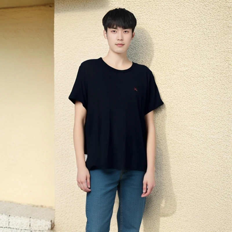全新 11422887 Burberry博柏利 战马刺绣logo圆领短袖 黑色 XXL码