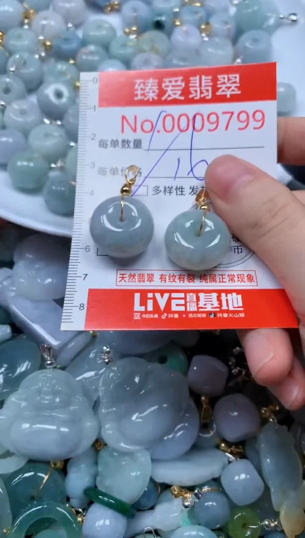 翡翠未镶嵌吊坠(不含链)9799多样性发其一