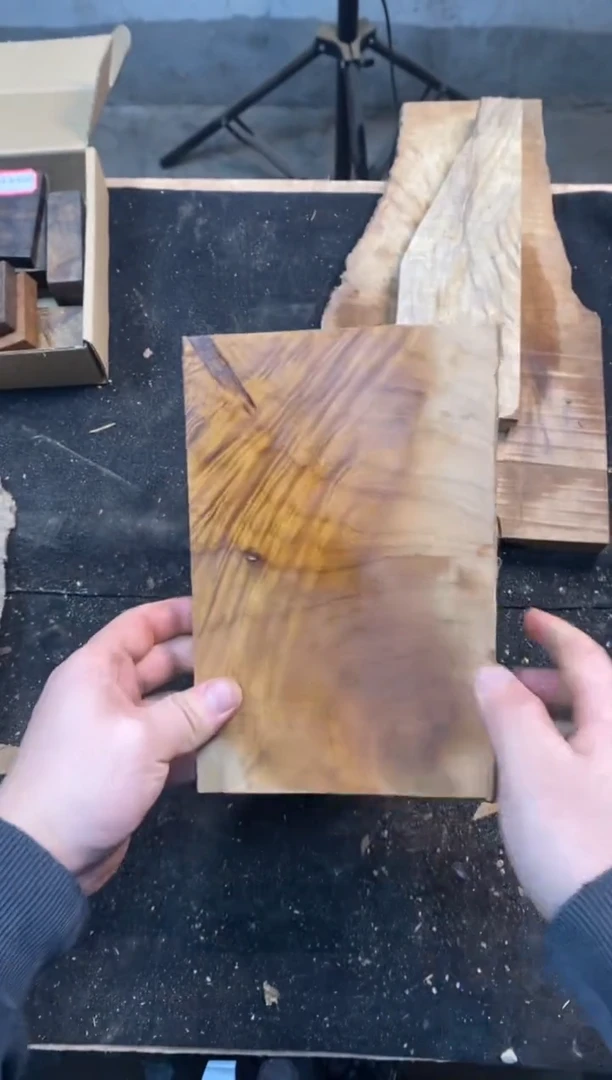 钱*金丝楠小叶桢楠1