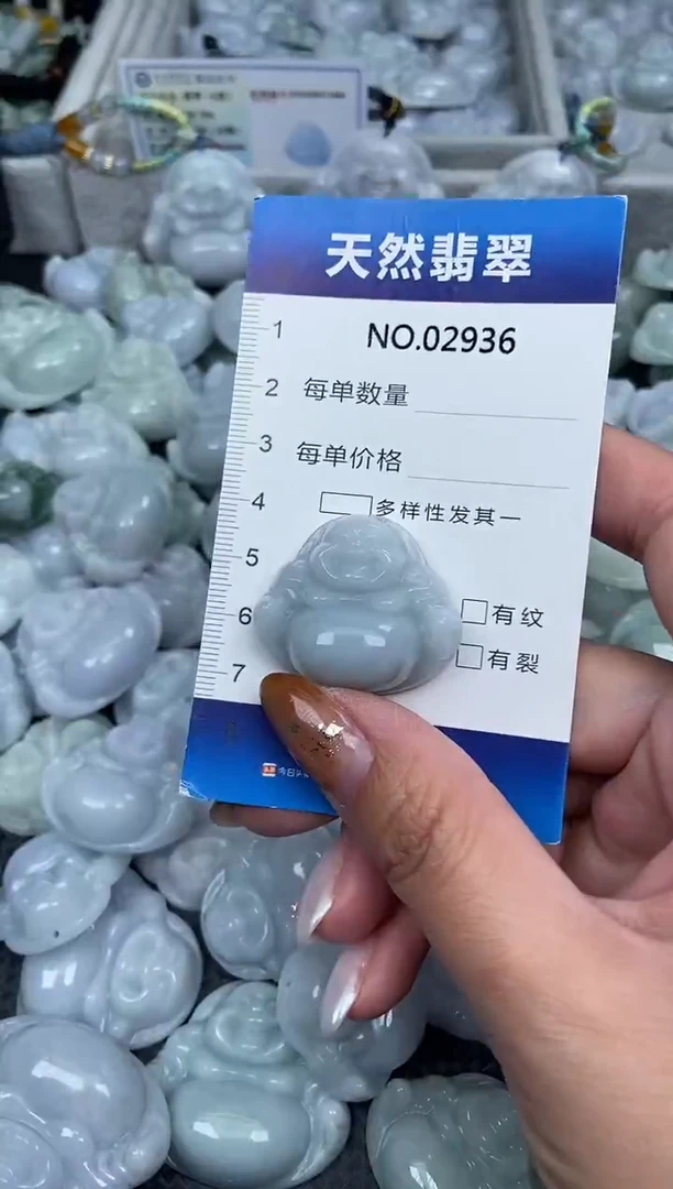 颈饰未镶嵌翡翠纯天然A货翡翠2936
