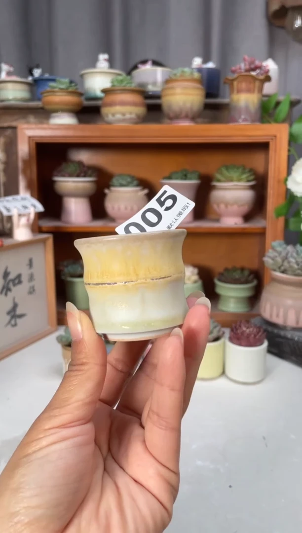 瓷片005小芳直播编号