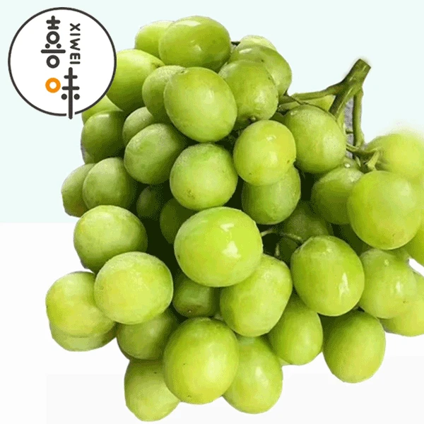 甜地球秋天脆青提