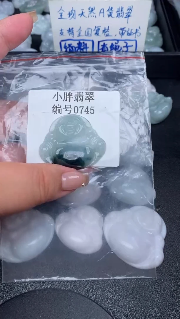 翡翠未镶嵌颈饰缅甸天然A货翡翠0745