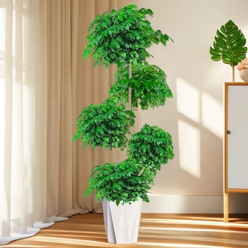 【送货上门】5层幸福树1.7-1.9米老桩绿宝净化空气甲醛室内大型绿植