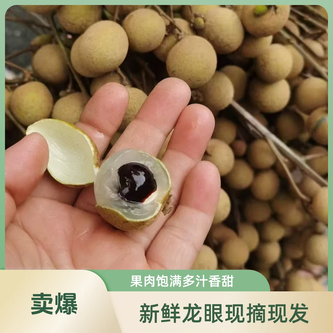 新鲜现摘龙眼当季清甜多汁水果冷链配送