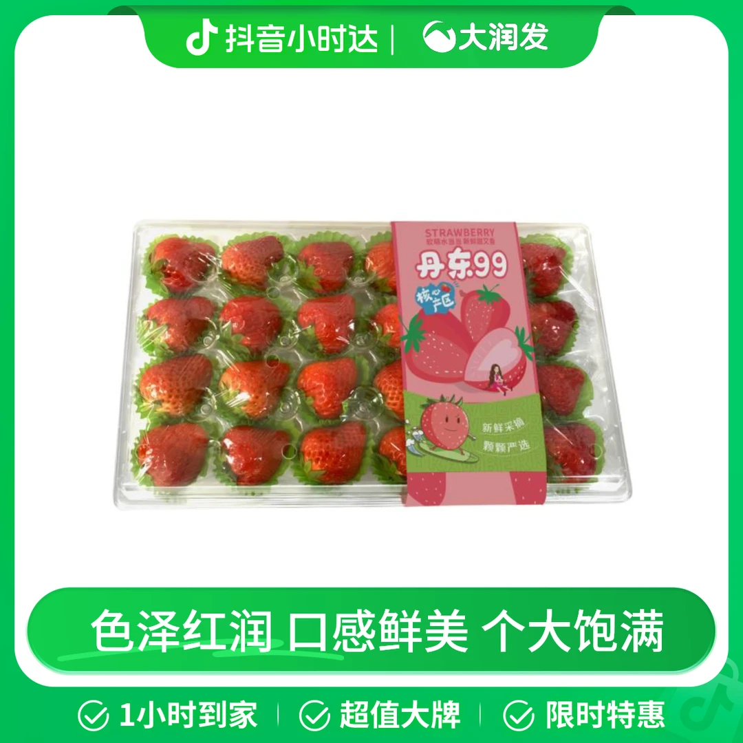 丹东99草莓500g/盒