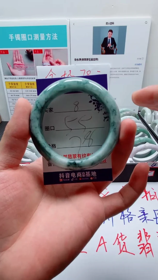 未镶嵌手镯翡翠8