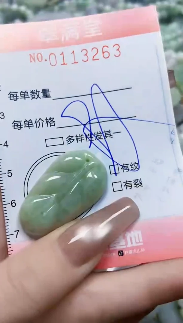 【闪购商品】翡翠颈饰未镶嵌闪购0113263