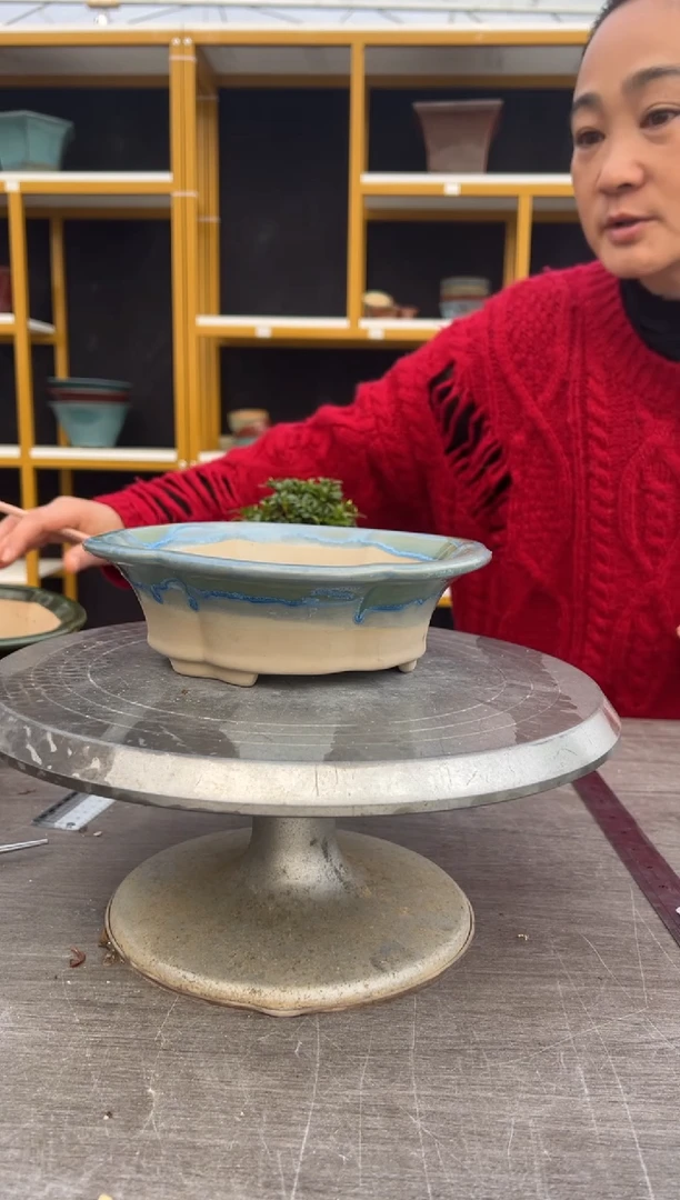 三*石31号莲花盆三盆组合