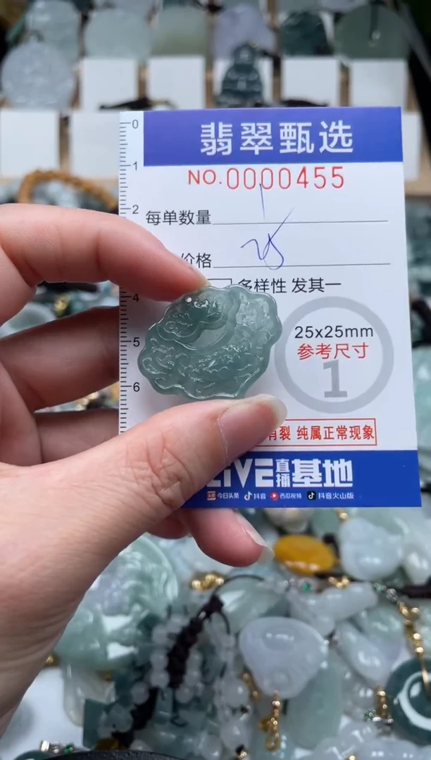 翡翠未镶嵌颈饰00..0455
