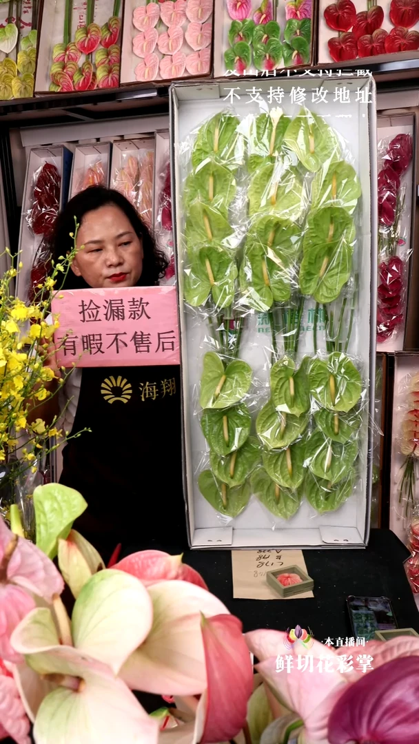 绿掌24支328包邮微瑕无售后！！