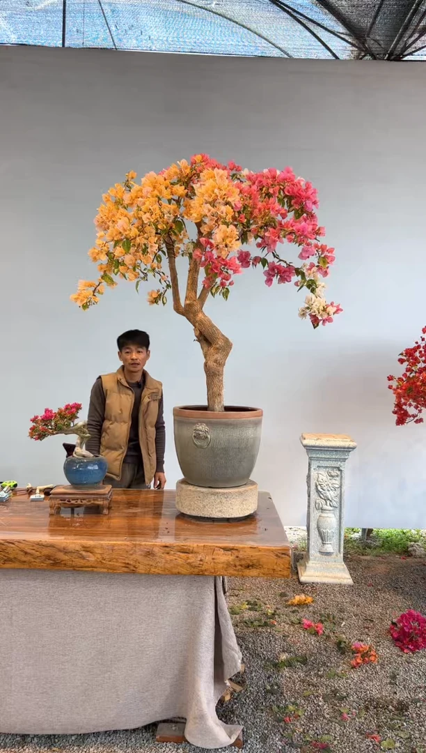 【闪购商品】AA927