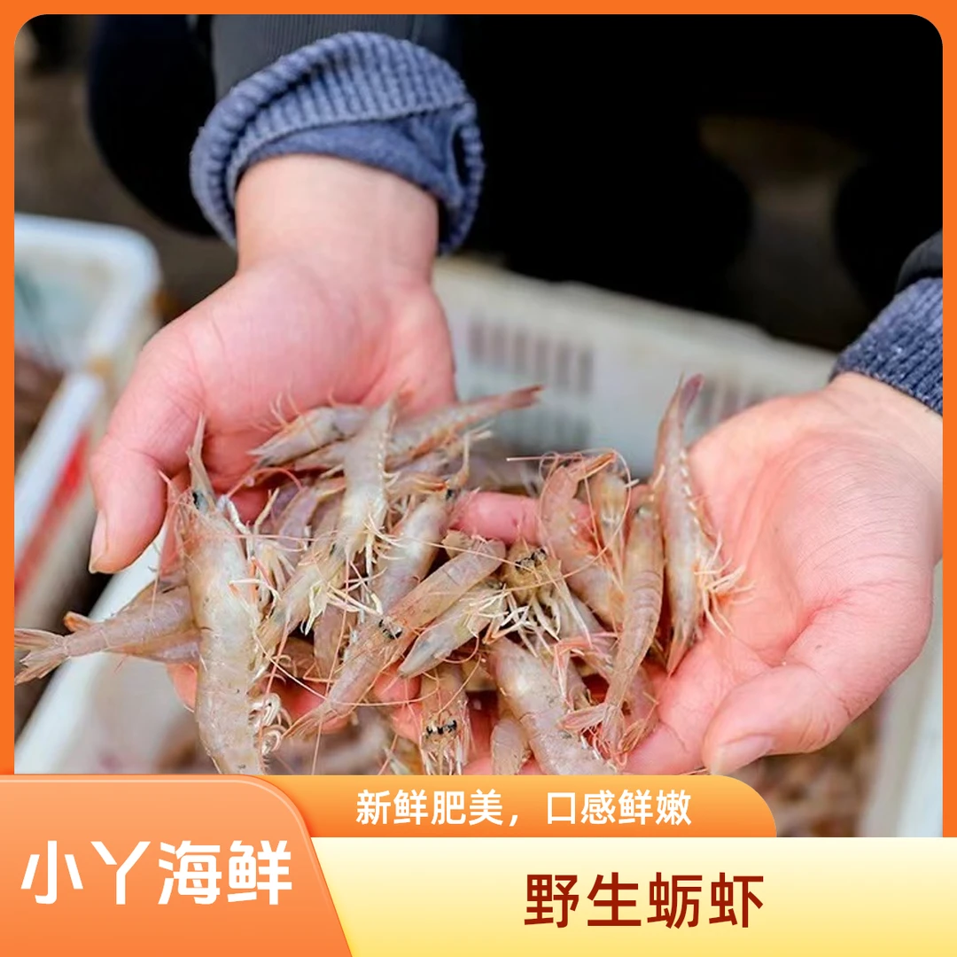 【野生本地蛎虾】a野生海捕蛎虾4斤大小不一易掉黑头介意勿拍