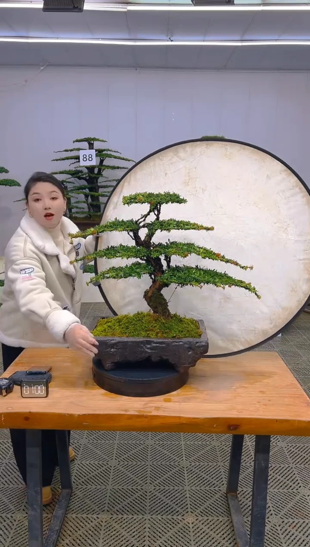 无花朵一物一拍一物一拍