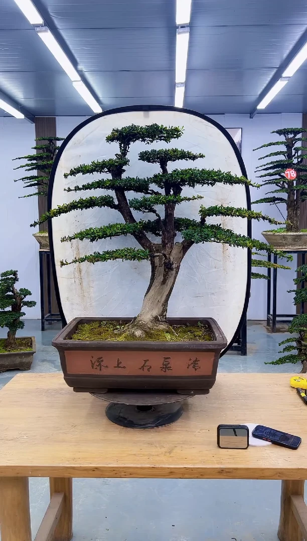 以实际为准00000000