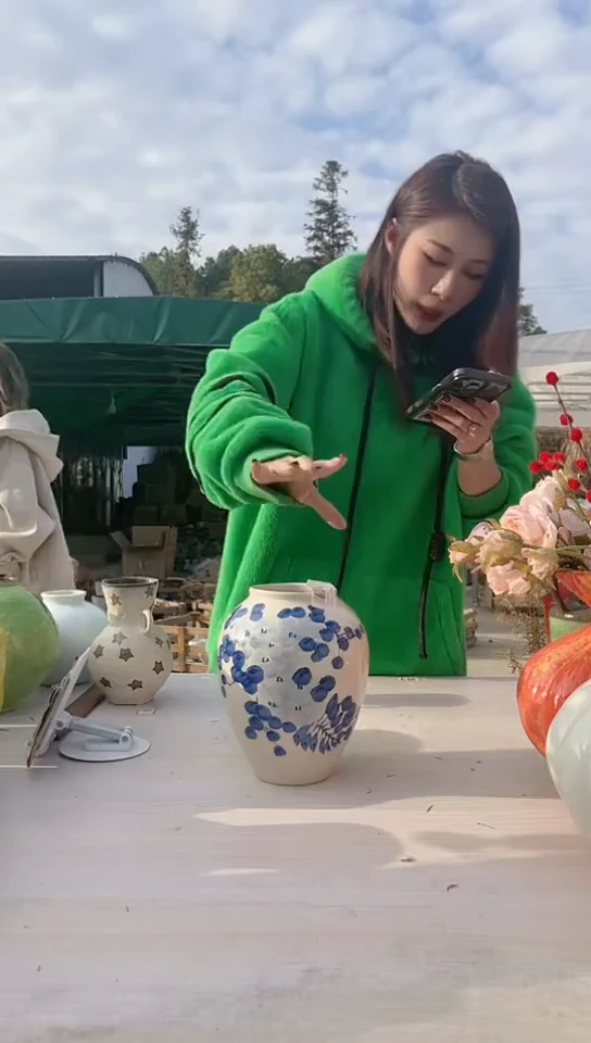 【闪购商品】陶瓷景德镇手工陶瓷推