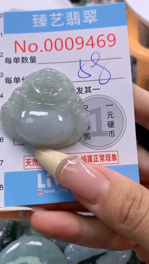 翡翠未镶嵌颈饰含绳0009469