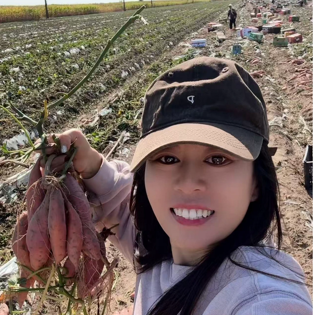 2025年正宗黑山县蜜薯25号~流油流蜜~软糯香甜~为烤而生