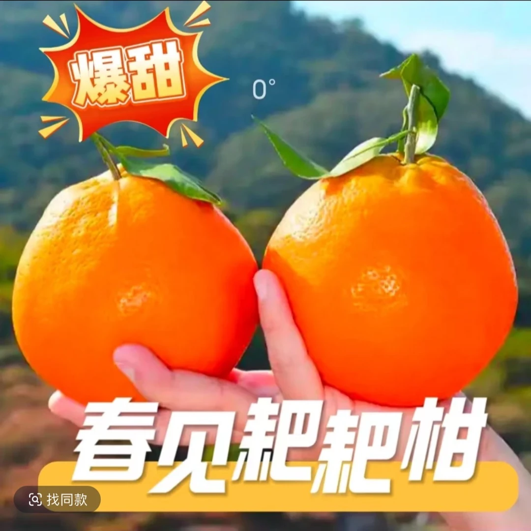 四川正宗春见耙耙柑皮薄多汁化渣果园直发新鲜当季水果