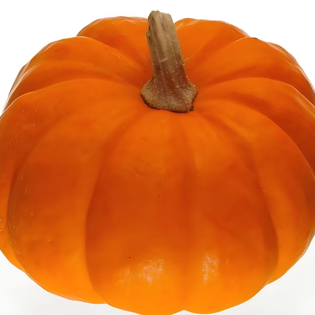 老南瓜（ئاش كاۋا）