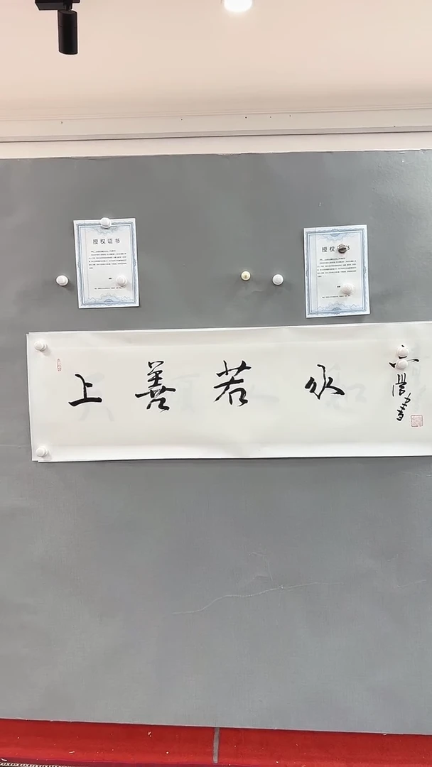 【闪购商品】书法雅艺典藏文化书法