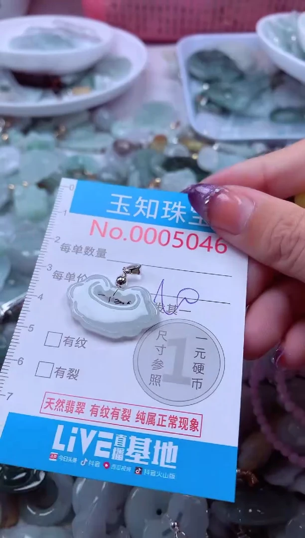 翡翠未镶嵌吊坠(不含链)5046