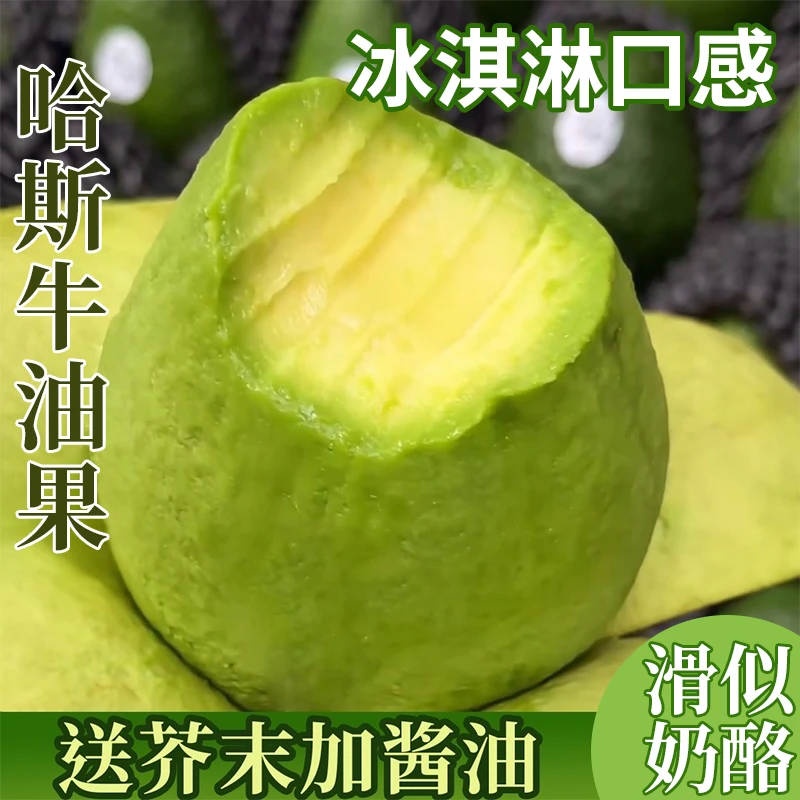 S1正宗云南孟连哈斯牛油果现采现摘当季新鲜水果宝宝辅食坏果包赔