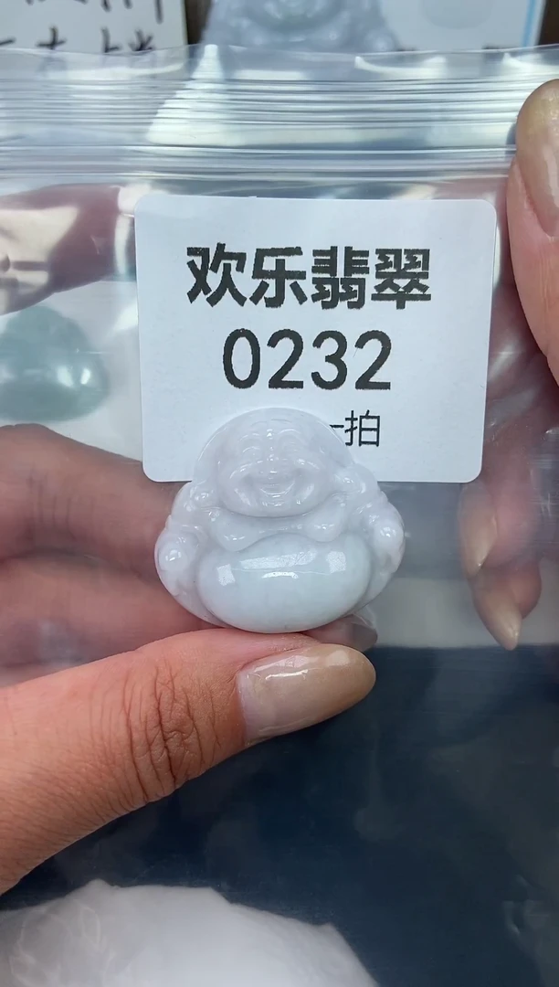 颈饰未镶嵌翡翠缅甸天然翡翠0232