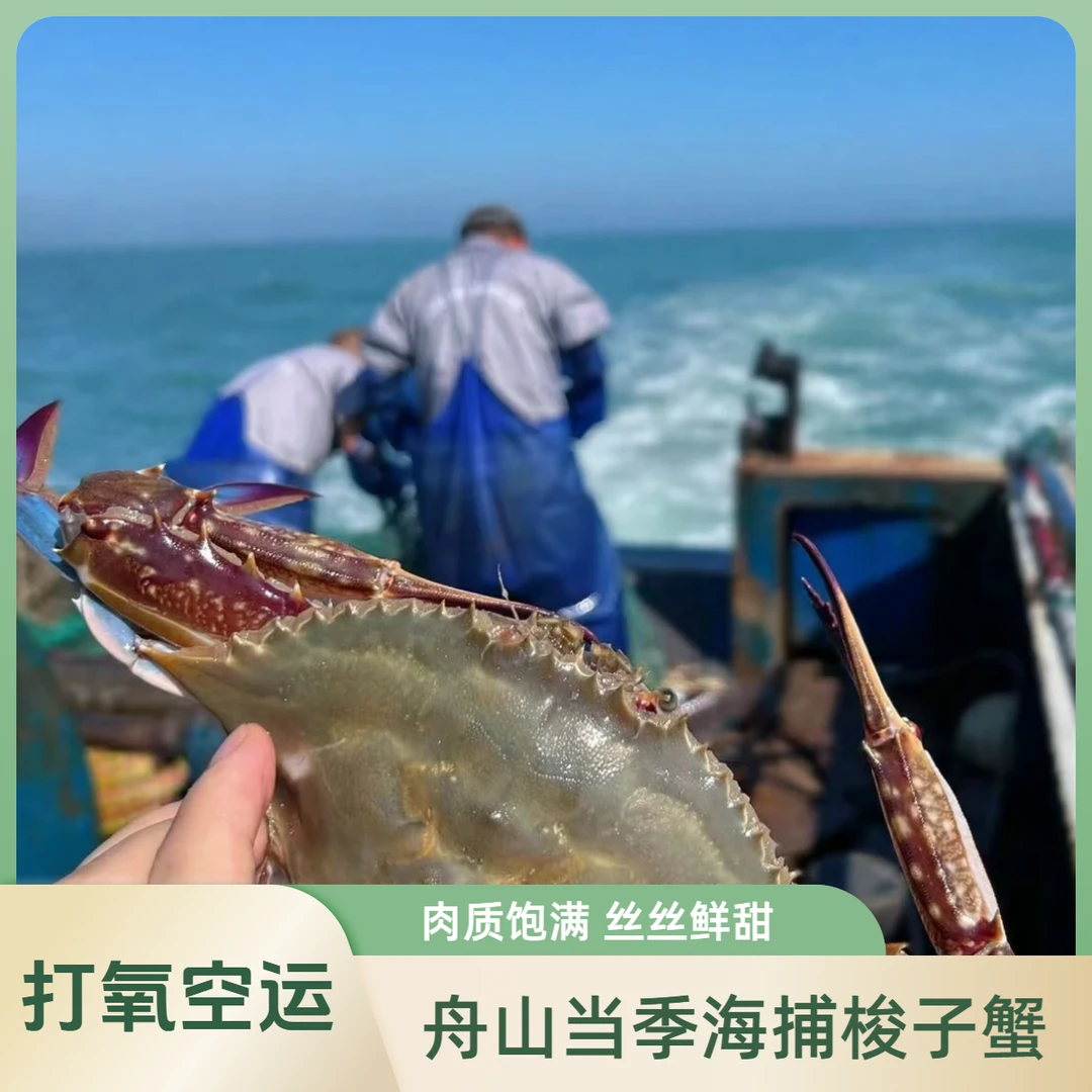 【保鲜不保活】舟山梭子蟹 净重3斤/箱 4-6两/只 共6-8只 充氧活发