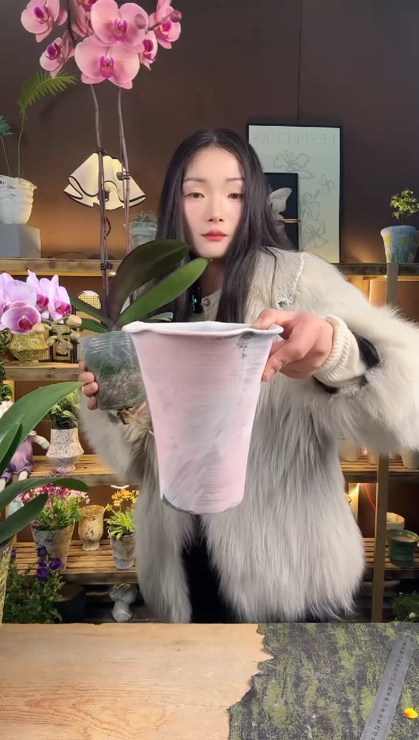 以实际为准编号 434   景德镇手工手绘花盆