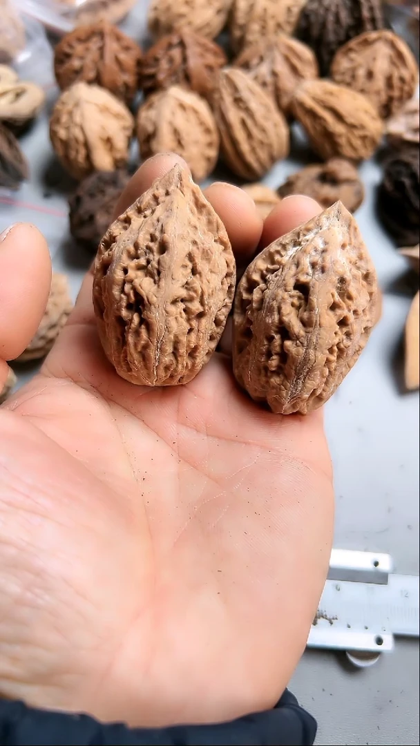 核桃东北野生大秋子5